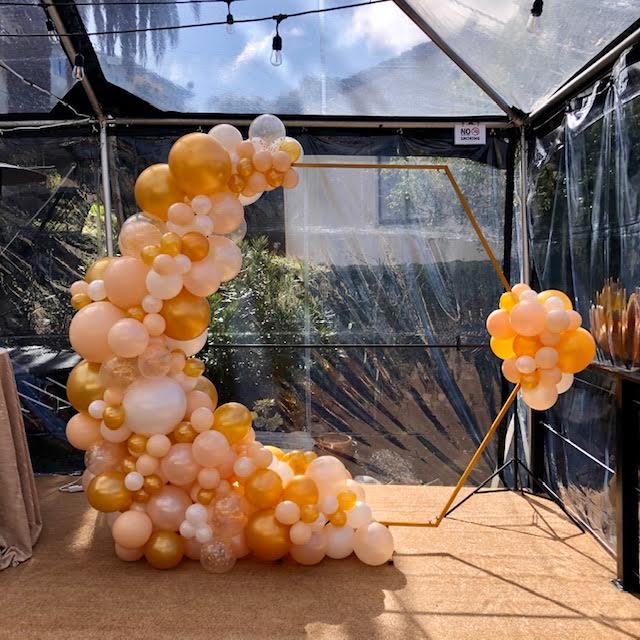 Custom Backdrops