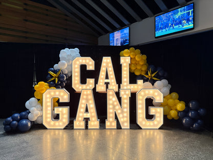 Lighted Marque Letters