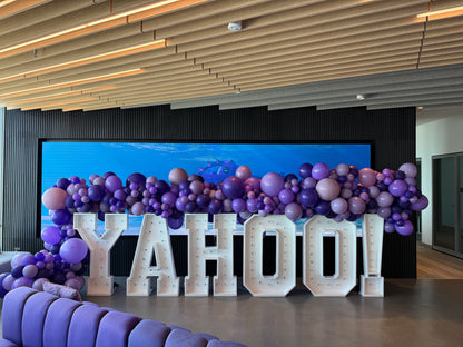 Lighted Marque Letters